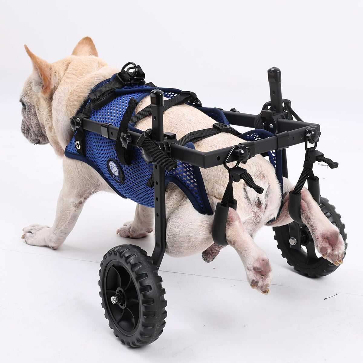 Kajile faltbarer Wagen für kleine Hunde XS