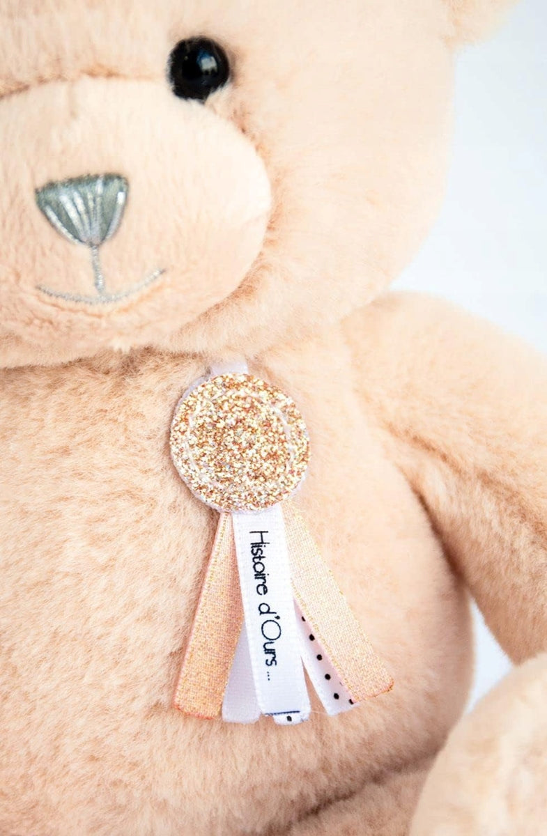 HISTOIRE d'OURS my cuddly toy
