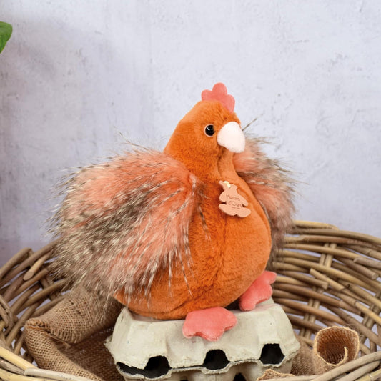HISTOIRE d'OURS pluchen knuffel KIP 20 cm