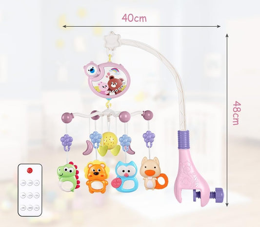 AOLSO carousel with projector + remote control