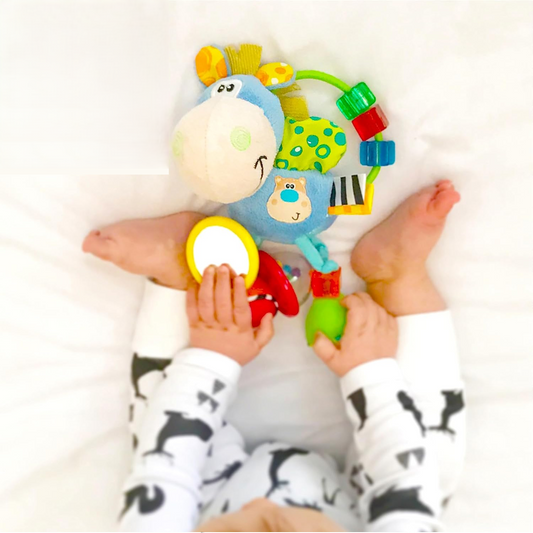 PLAYGRO Clip Clop giocattolo sensoriale con sonaglino, specchietto, maniglia