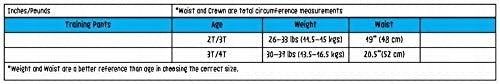 ZOOCCHINI chiloți de antrenament 2-3 ani ORGANIC