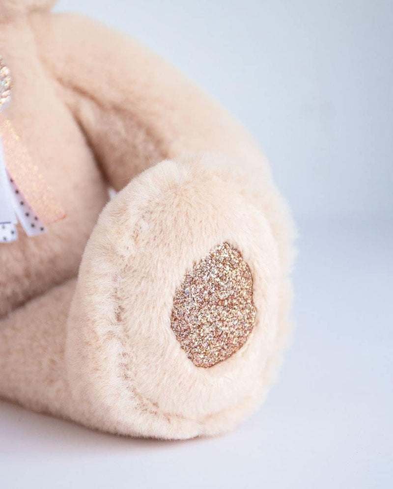 HISTOIRE d'OURS my cuddly toy