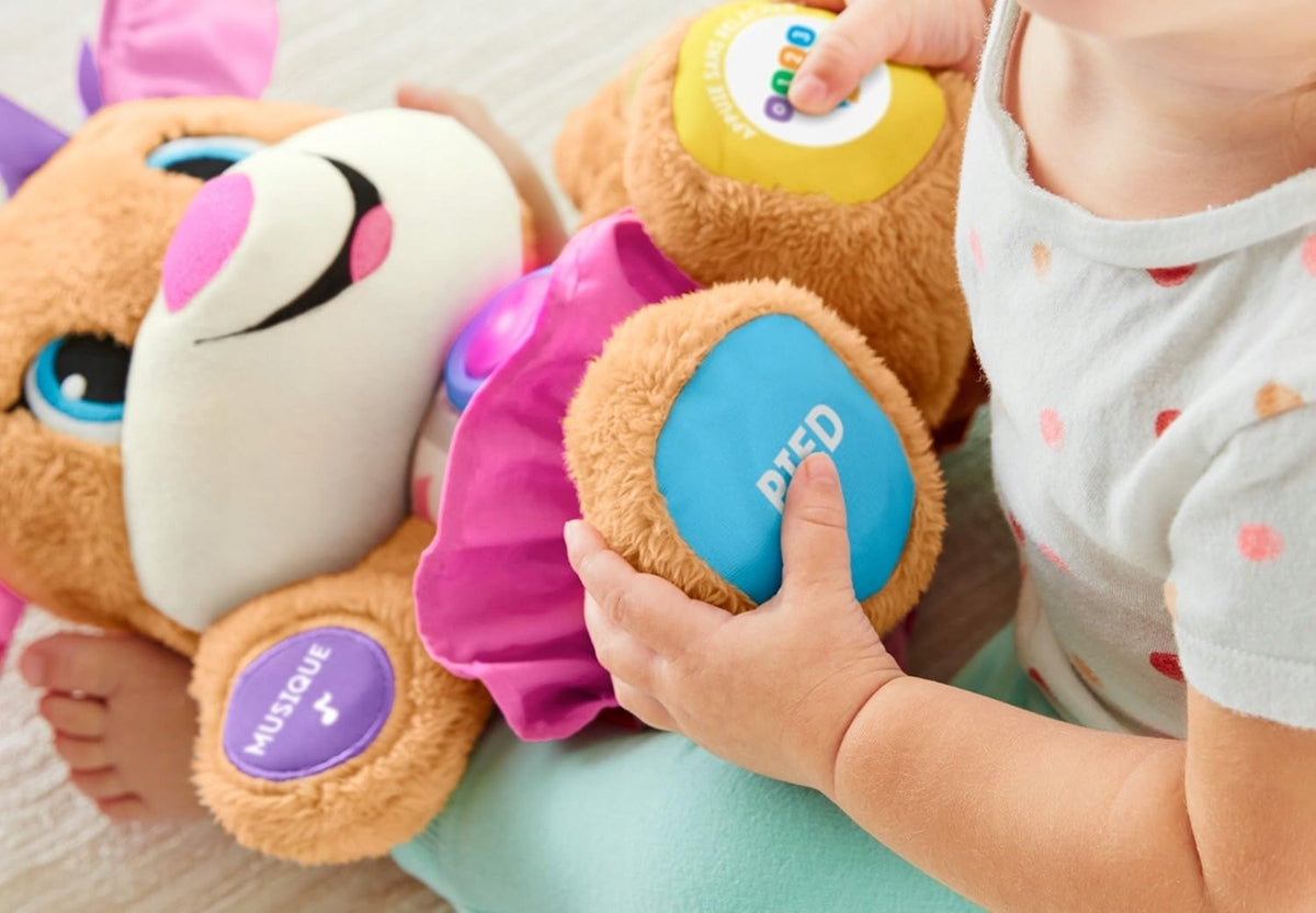 FISHER-PRICE FPP52 sestrica kužka učenjaka v francoščini