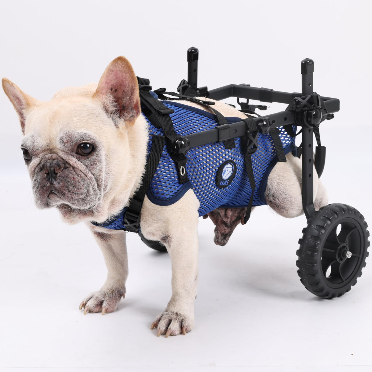 Kajile faltbarer Wagen für kleine Hunde XS