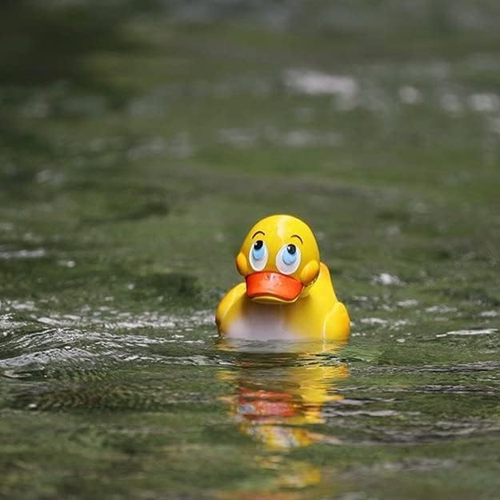 LANCO kaczka do kąpieli z naturalnego kauczuku 6,5 x 7,5 x 8 cm