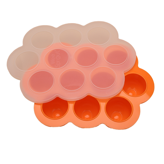Fresh Foods stampo in silicone per congelare alimenti 10 x 60 ml