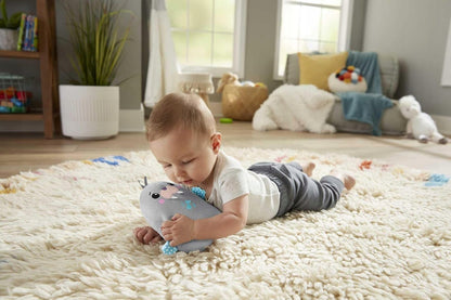 FISHER-PRICE Chill Vibes Robbe Plüschtier mit Melodien und Vibrationen 17 cm
