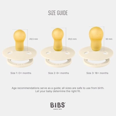 BIBS COLOUR smoczki uspokajające 2pack kauczuk 6msc+