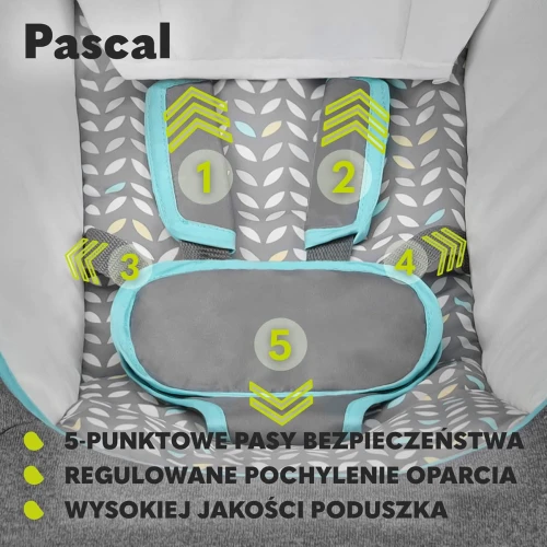 LIONELO PASCAL bujaczek leżaczek do 9kg melodia i wibracje