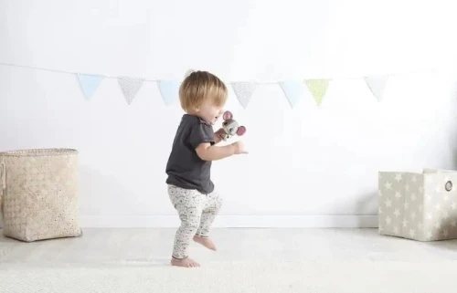 TINY LOVE wonder buddies MYSZKA COCO