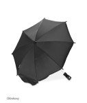 8   PARASOLKA OŁÓWKOWY