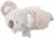 FEHN pluszowy KOALA TERMOFOR