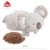 FEHN pluszowy KOALA TERMOFOR