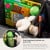 REER TravelKid organizer składany do samochodu "N