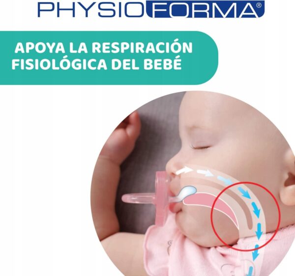 CHICCO PhysioForma smoczek x2 16-36m - obrazek 2